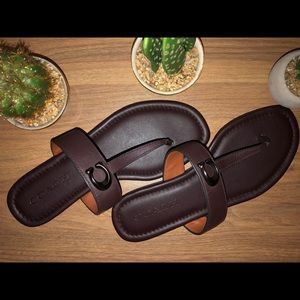 Coach ‘Jessie Sandal’ with Signature Buckle in Oxblood